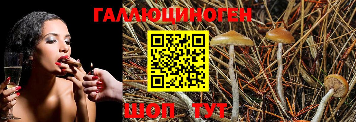Галлюциногенные грибы Magic Shrooms Волжский